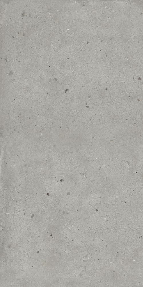 Авангард Сильвер