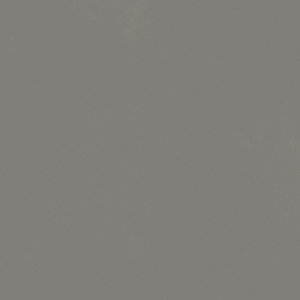 Форум Слим Айрон