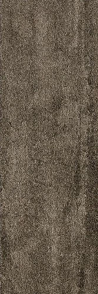 Верс Чеснат