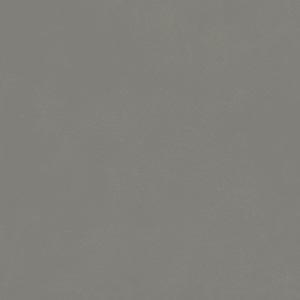 Форум Слим Айрон